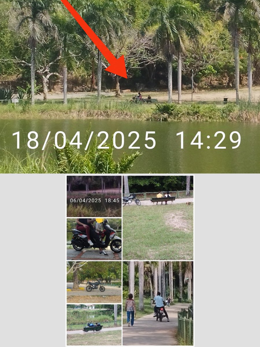 Se requiere presencia permanente diurna de la Brigada Ambiental de PoliPlaza en el Parque José María Cartaya, urbanización Nueva Casarapa, #Guarenas: una protección especial y especializada.
En el #PJMC, no deben circular motos.
#PJMC #AmbienteGG