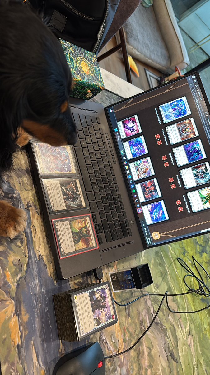 Final deck building tips for the wknd from Betty the best dachshund FAB coach #fabtcg