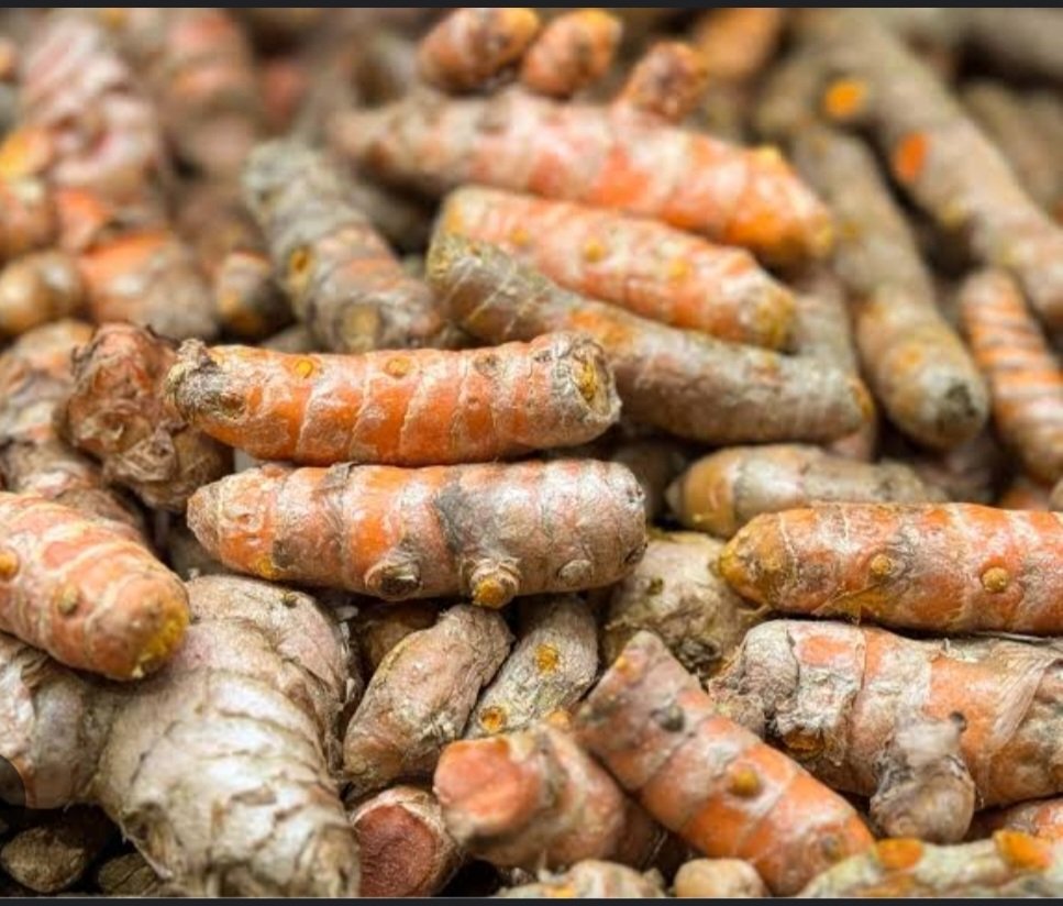 Prince_Fynnz's tweet photo. Turmeric is a miracle substance.

It lowers cancer risk, reduces inflammation by 50%, and strengthens your immune system.

Here’s a  way to use it &amp; get 100% of its benefits: 

Check Thread 👇 https://t.co/wAQsX1Al85