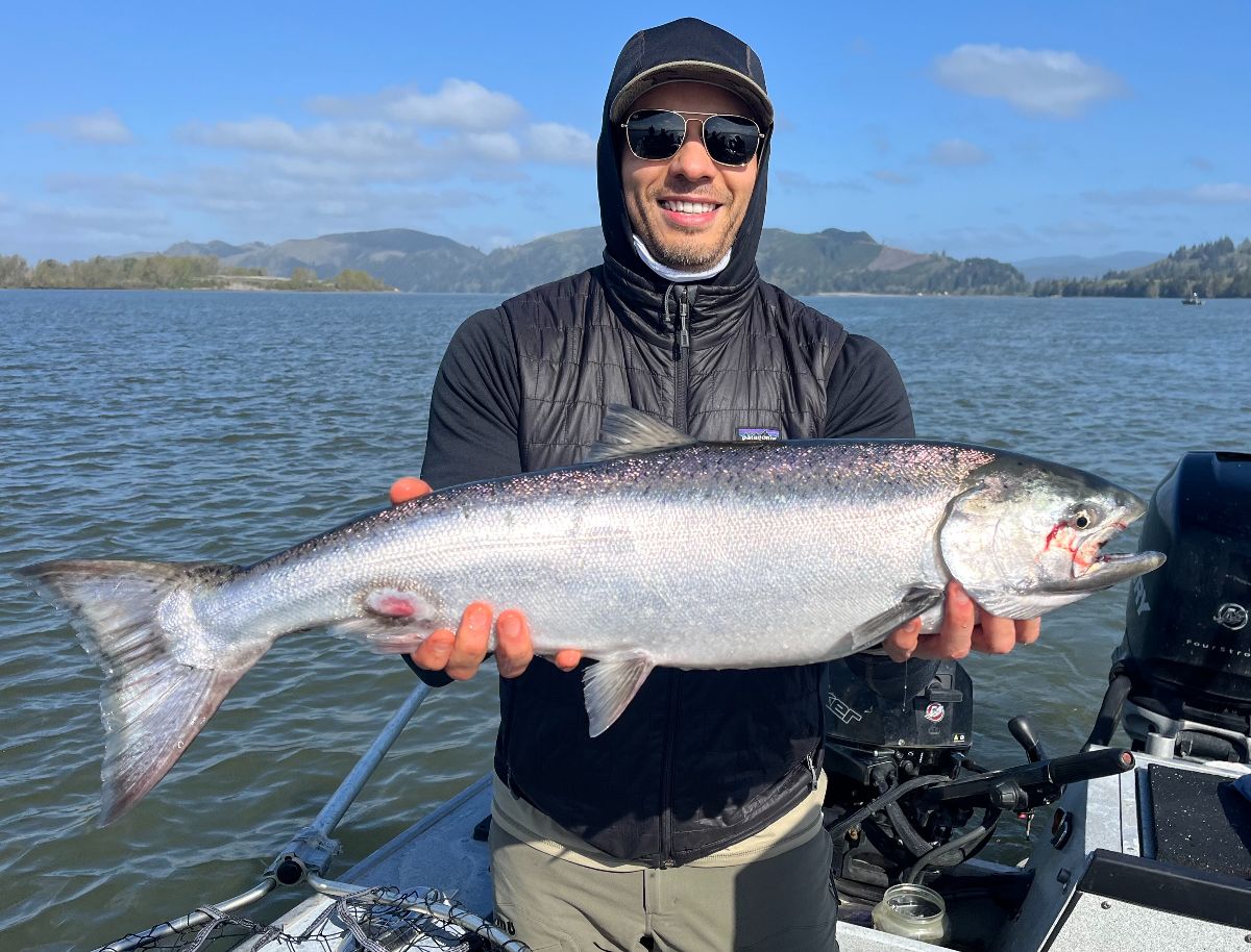 OregonFishingUS's tweet photo. 🌊🐟 Spring Chinook &amp; summer steelhead are heating up in Oregon! 🎣 Willamette, Columbia &amp; coastal fisheries are seeing action—get the latest report &amp; strategies here: https://t.co/WnZwwli6hR 

#OregonFishing #OregonFishingReport #TheGuidesForecast https://t.co/e1C5V4eR0A