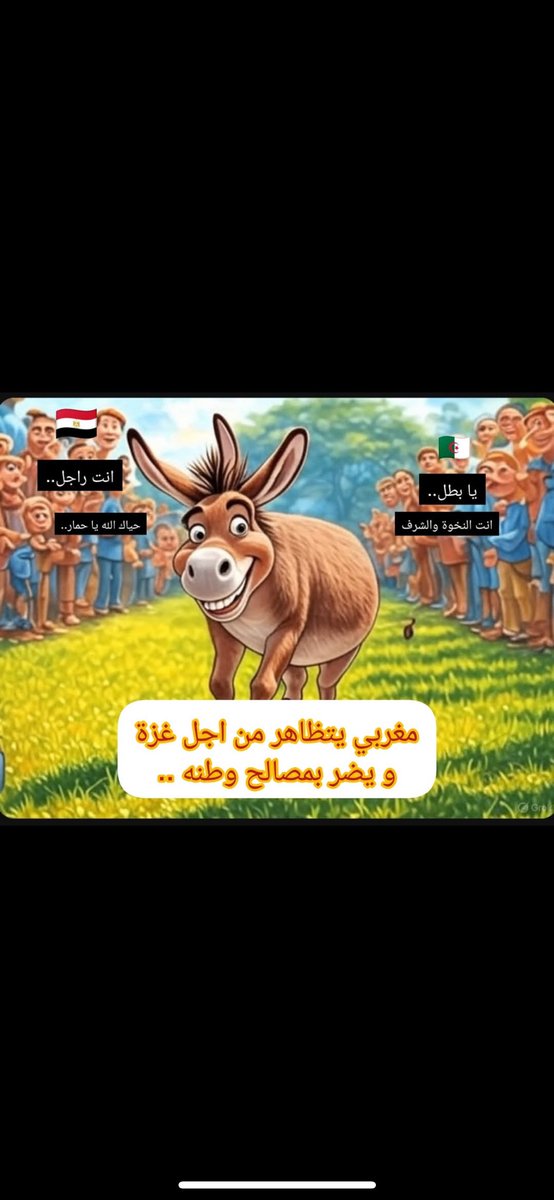 من المؤسف أن نلاحظ كيف أن  الجزائري و الفلسطيني والمشرقي، يوجهون نداءاتهم وتحريضاتهم نحو الشعب المغربي، مطالبين إياه بالخروج إلى الشارع وتنظيم مظاهرات دعماً لفلسطين، في وقت لا نرى فيه نفس التحركات أو التعبئة داخل بلدانهم!!