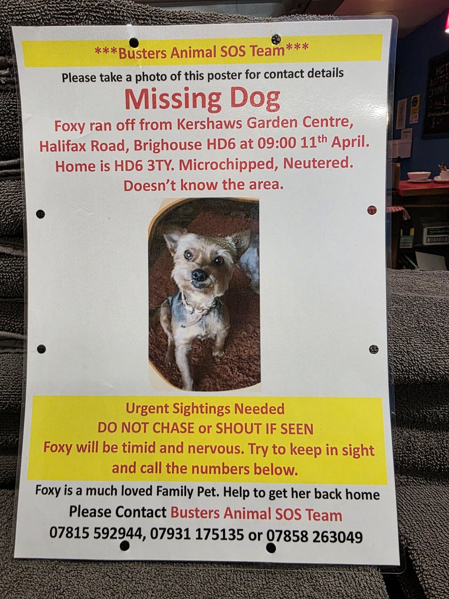 Andy Castle (@andycastle18) on Twitter photo 