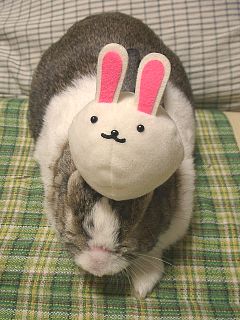 OolongOnSol's tweet photo. dexscreener updated
https://t.co/Oq58ww11fG

Next stop: taking over Easter https://t.co/tpvPvNqvag