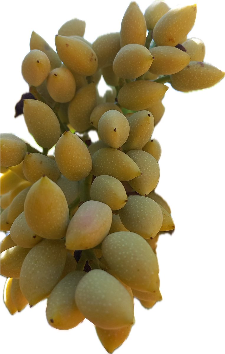 H.B (@hbhb7504) on Twitter photo 