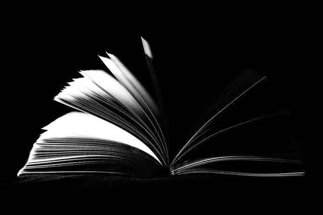 FRL_Avocat's tweet photo. ACTU🧐–La semaine pro,le 23 avril,nous célébrerons la journée mondiale du livre et du droit d’auteur.Le 23 avril a été retenu car il s’agit d’une date symbolique. W. Shakespeare,Miguel de Cervantes,l'Inca Garcilaso de la Vega sont décédés un 23 avril 👉https://t.co/YE1E2s8ygv https://t.co/qgmVAfpdUQ