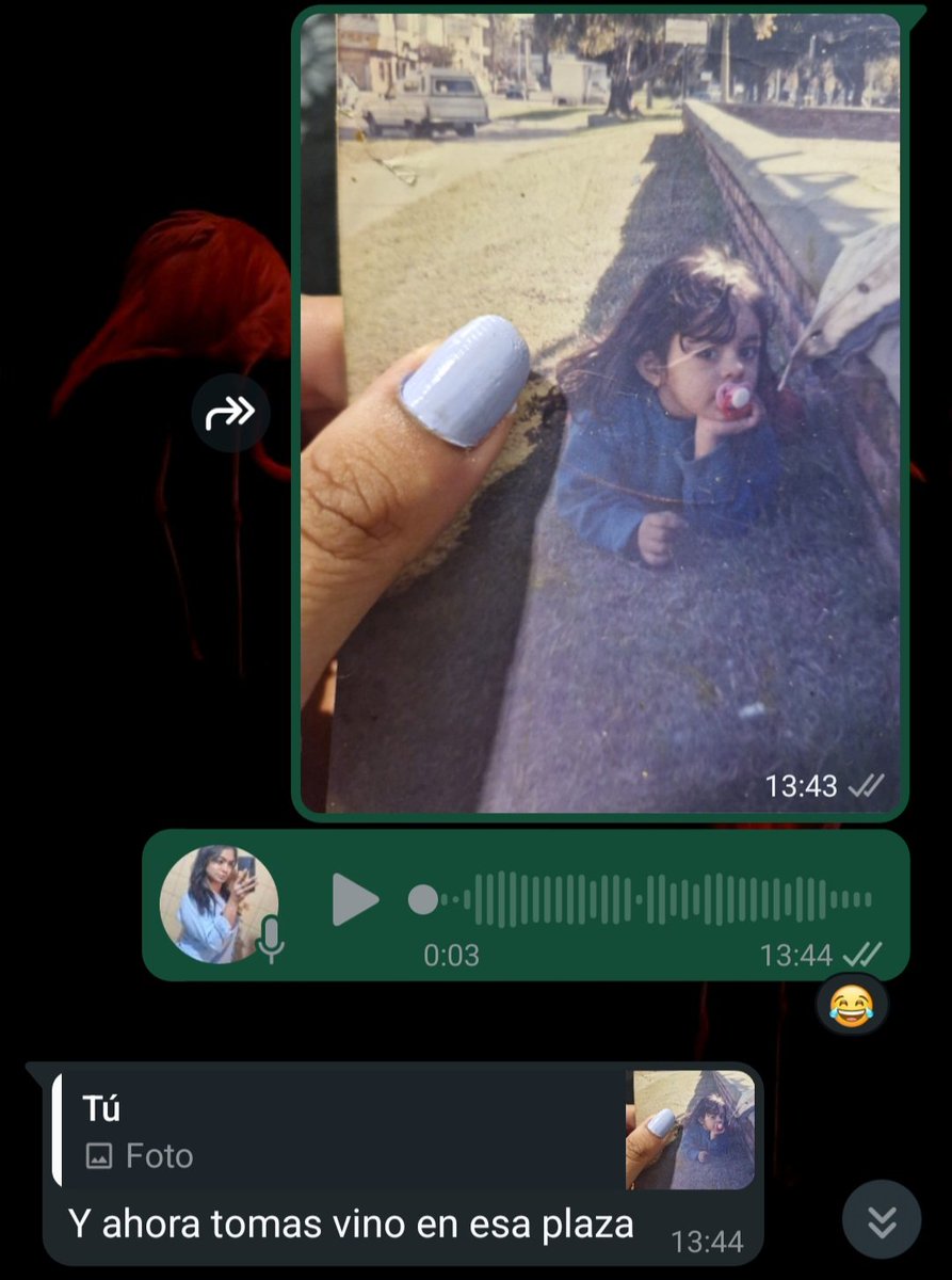 rocio tweet media