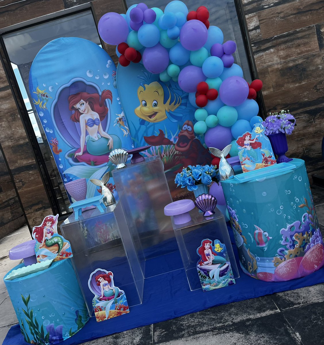 FestasTamara's tweet photo. Ariel 😍💙 https://t.co/l3L08vEAB4