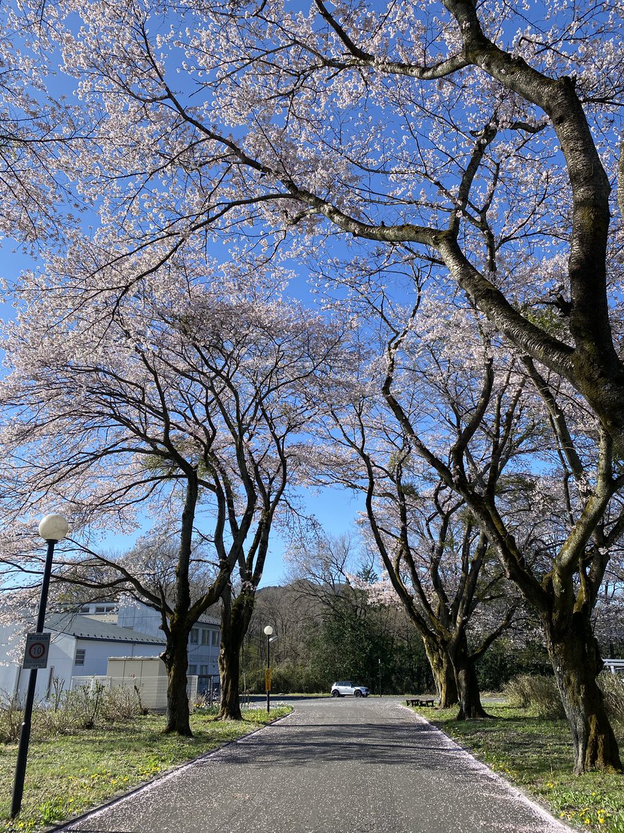 tmkeiko17's tweet photo. https://t.co/QQTgQMHofx