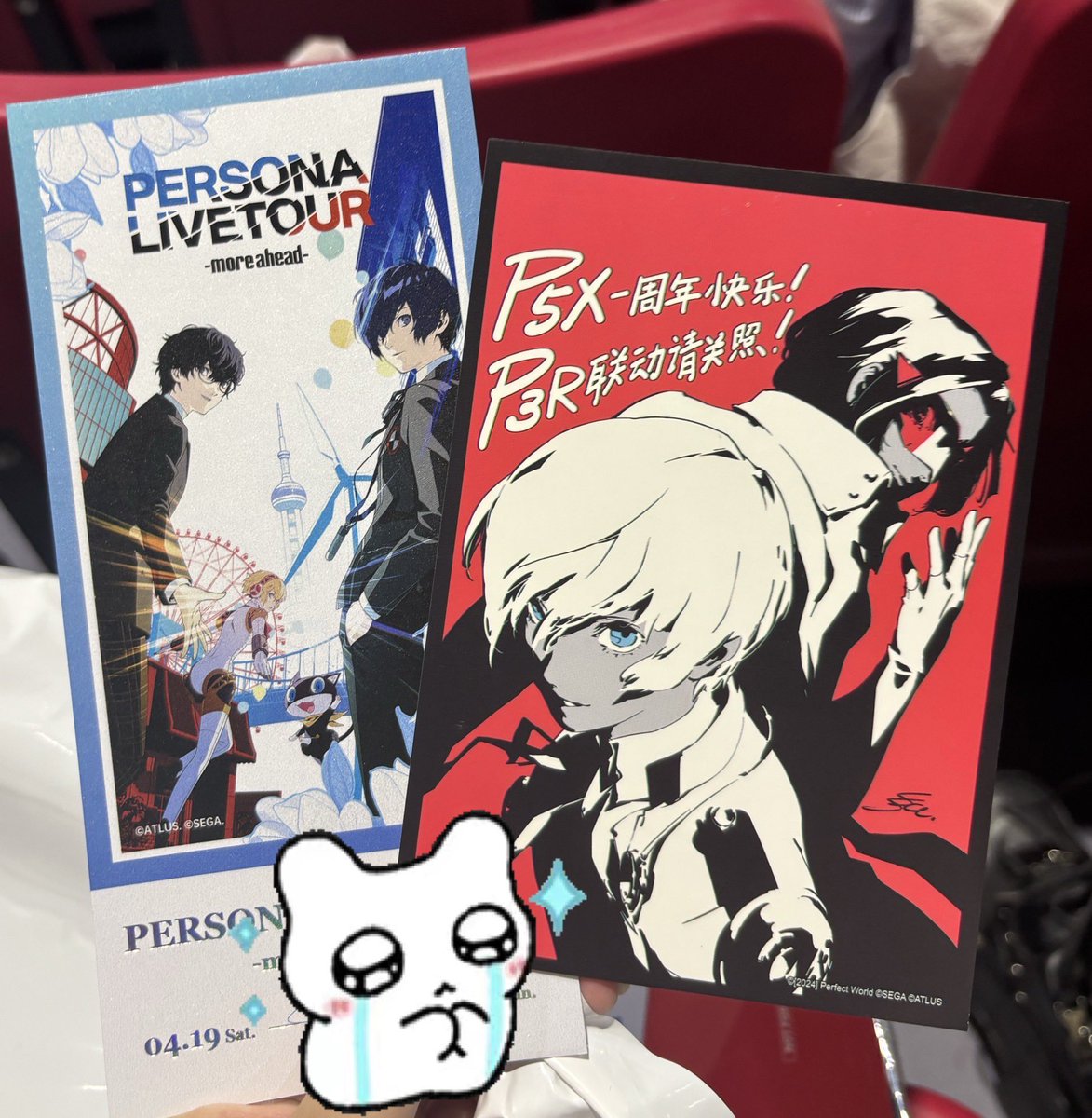 Sundarian_'s tweet photo. The happy day！(⁎⁍̴̛ᴗ⁍̴̛⁎) https://t.co/B3ooYeXIVX