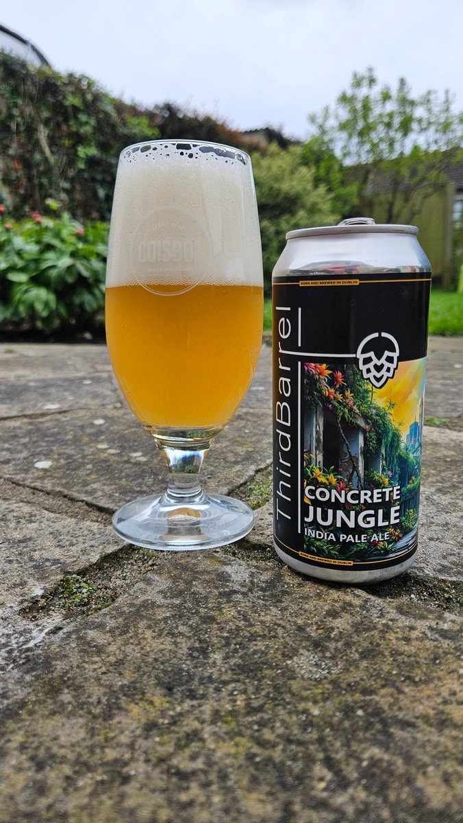 Al Nolan tweet media