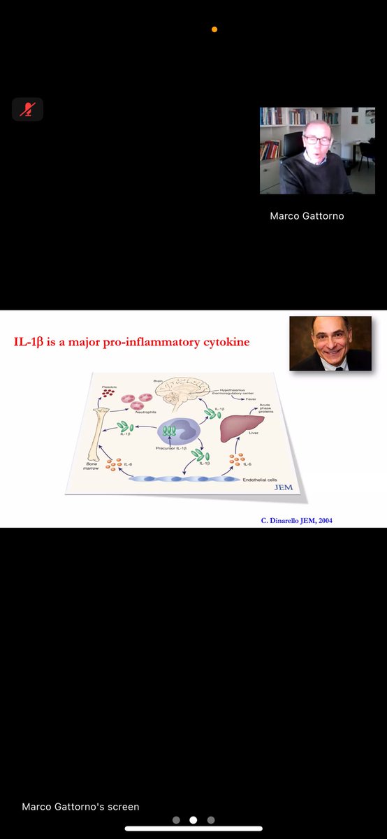 RCHPediatrics (@rchpediatrics) on Twitter photo Dr. Marco Gattorno delivers an insightful talk on โFrom Autoinflammation to Cytokine Storm: A Spectrum of Immune Dysregulationโ at the Cytokine Storm Symposium โ shedding light on the evolving landscape of hyperinflammatory responses <a href="/bhat_chandrika/">Chandrika Bhat</a> <a href="/mmdesai007/">Dr Mukesh Desai</a> <a href="/TheIMIDForum/">The Immune-Mediated Inflammatory Disease Forum</a> Dr. Marco Gattorno delivers an insightful talk on โFrom Autoinflammation to Cytokine Storm: A Spectrum of Immune Dysregulationโ at the Cytokine Storm Symposium โ shedding light on the evolving landscape of hyperinflammatory responses <a href="/bhat_chandrika/">Chandrika Bhat</a> <a href="/mmdesai007/">Dr Mukesh Desai</a> <a href="/TheIMIDForum/">The Immune-Mediated Inflammatory Disease Forum</a>