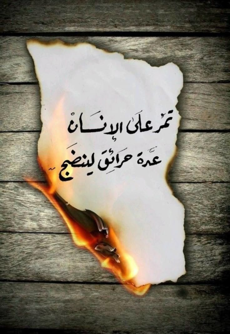 AliwaHosny's tweet photo. https://t.co/vyFfE2H0to