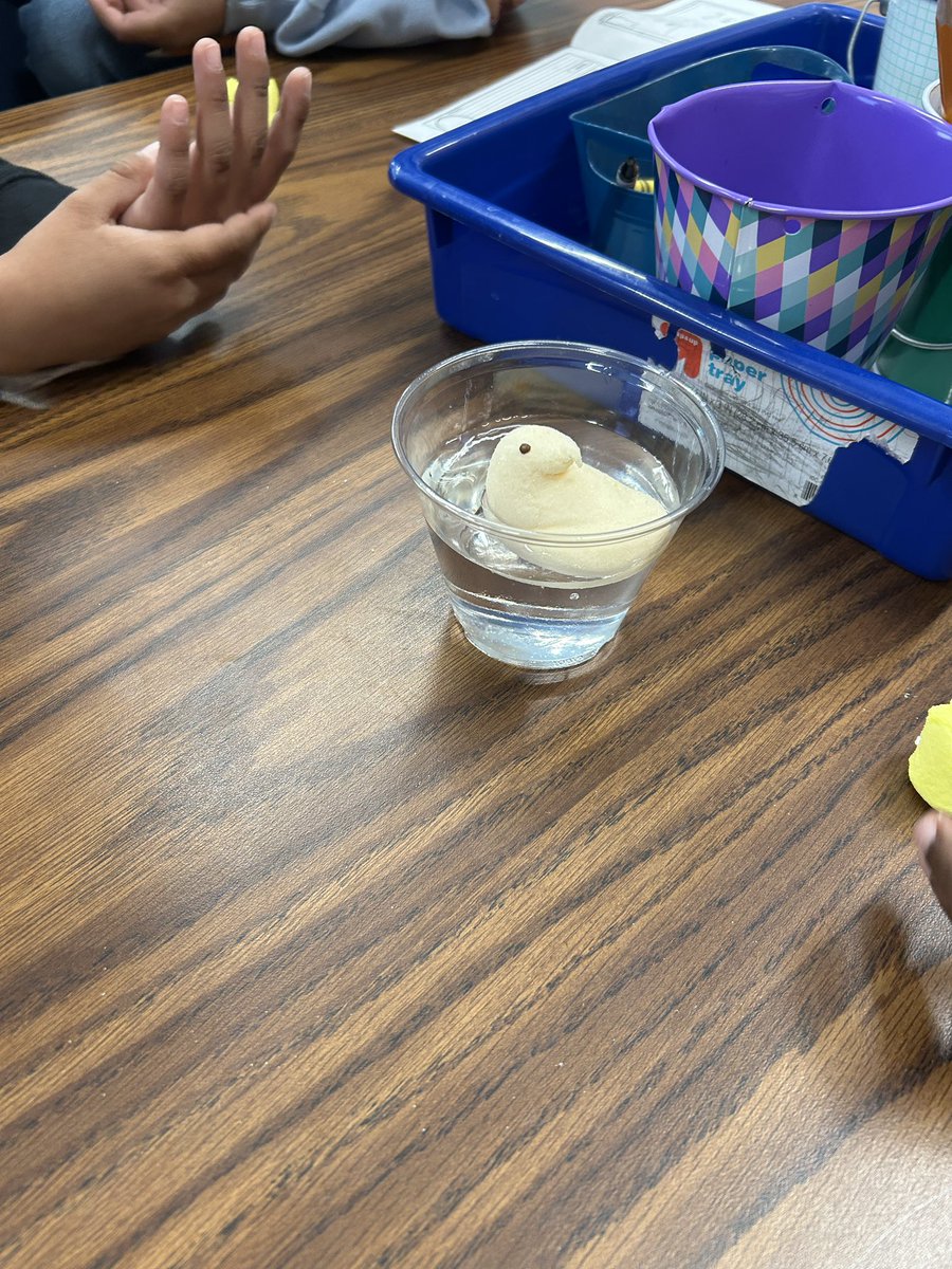 mrsishamscience's tweet photo. Science fun with peeps! https://t.co/Mh3SBPm3P2