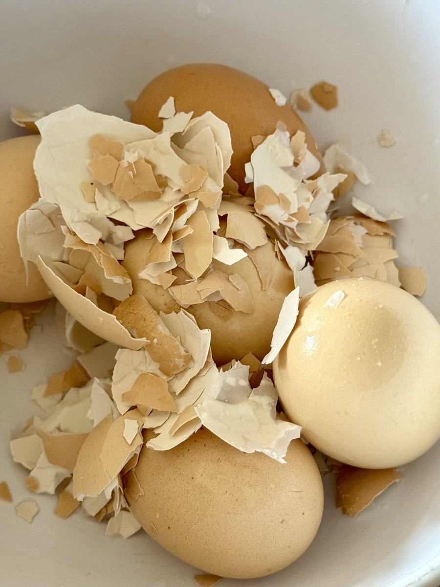 There’s something oddly soothing about peeling boiled eggs by hand. This Easter, it’s my small but proud contribution to the doro wot ☺️One day I’ll conquer the whole dish… but for now, I’m holding it down in the egg department. 

Melkam Fasika to all celebrating ✨