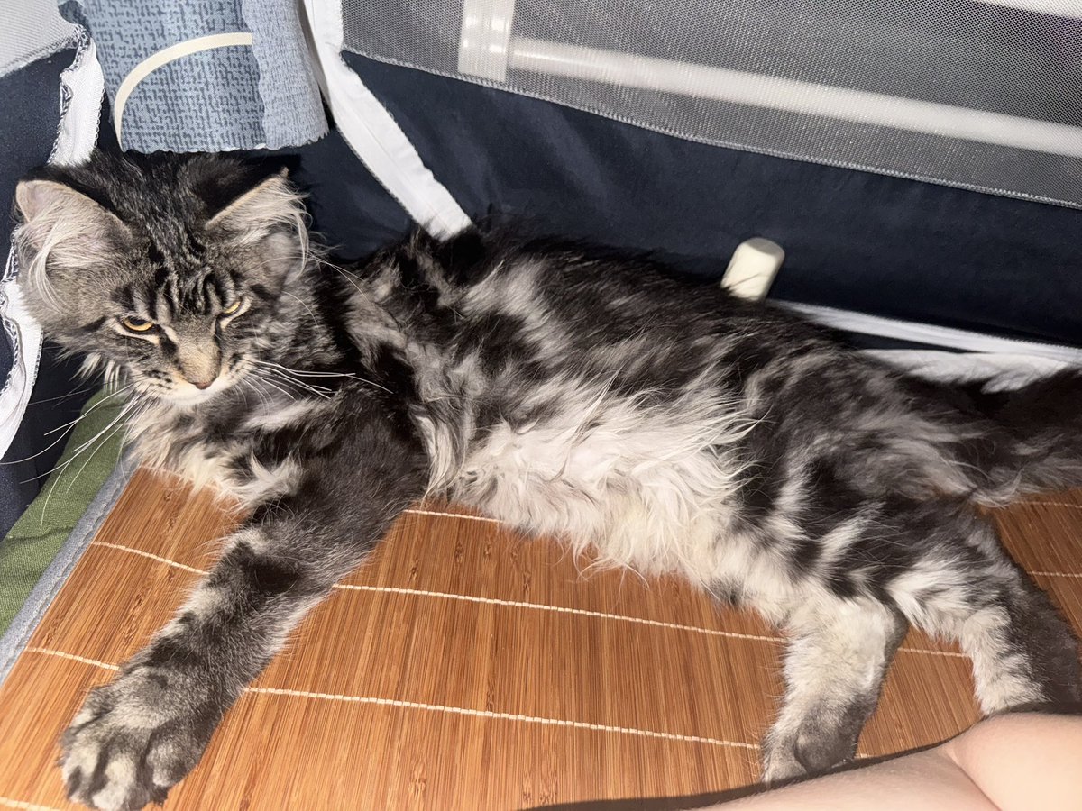 怎么办他看我不顺眼 #重庆 #男大学生