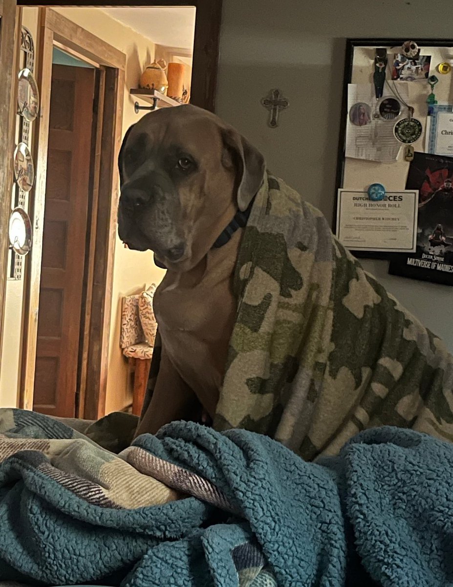 Cippee (aka Chris) tweet media