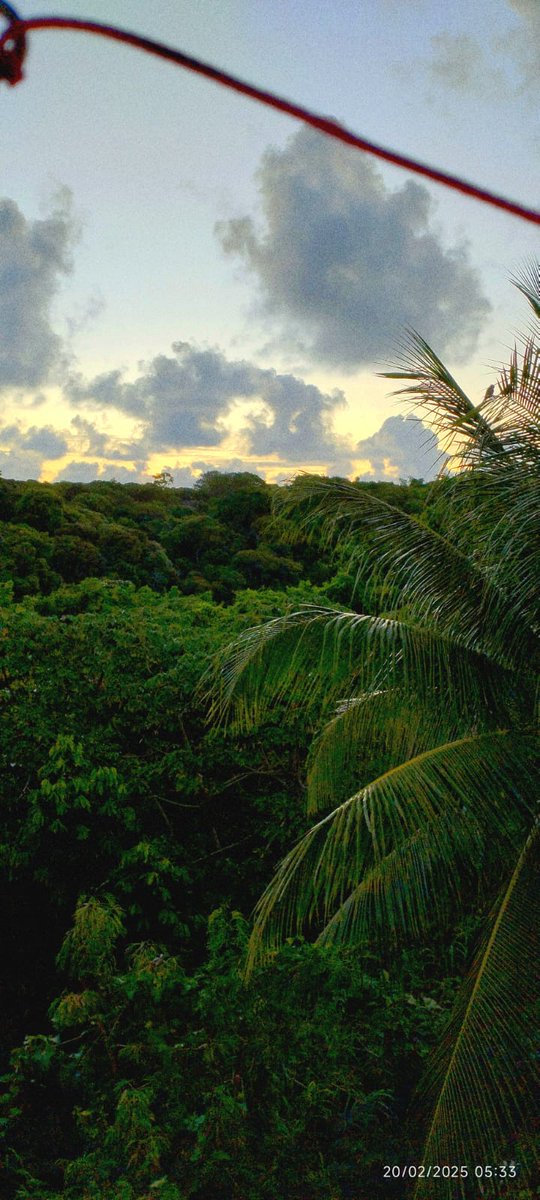 Taldo Rd tweet media