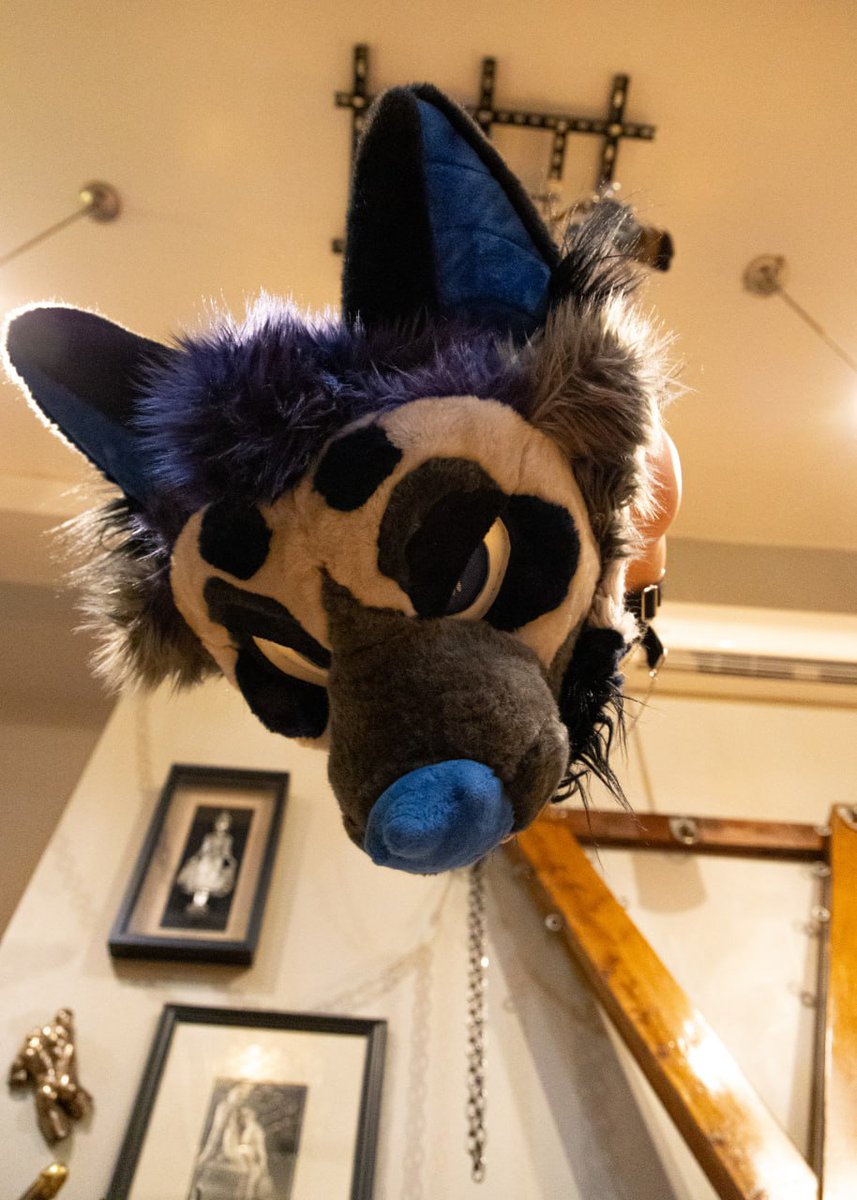 Moonlight tweet media