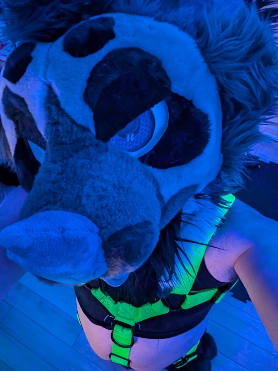 Moonlight tweet media