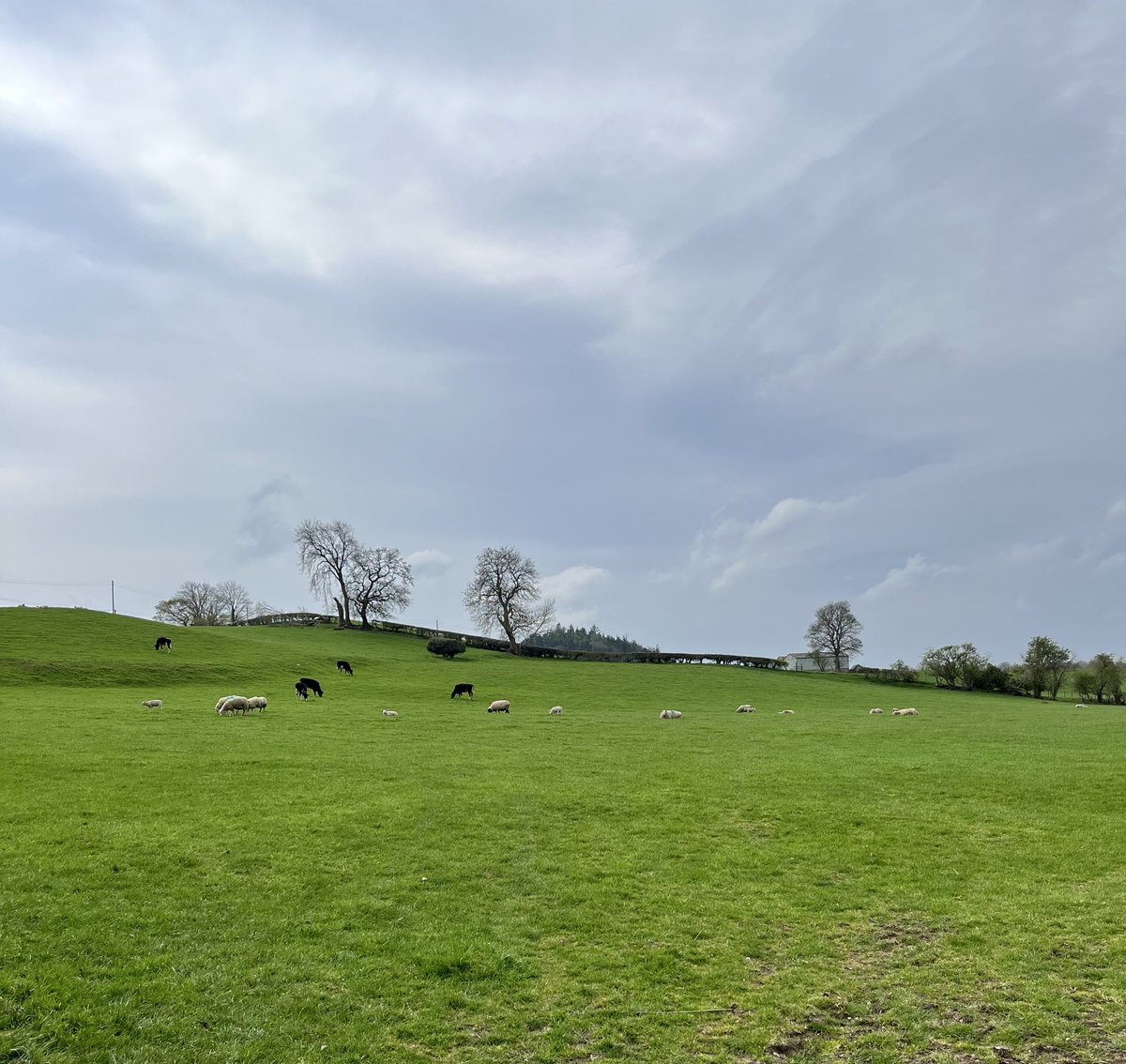 ionarees's tweet photo. Different view overlooking #ClwydianRange
#WelshCountryside
#EasterSaturday π΄σ §σ ’σ ·σ ¬σ ³σ Ώ https://t.co/53G7xdzA4P