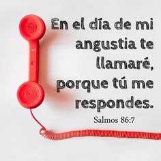 Maynor morales (@maynor69110298) on Twitter photo 