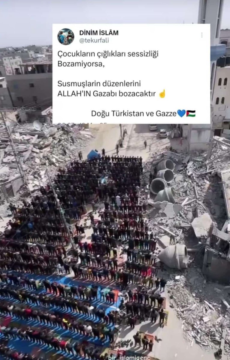 güzel vatanım (@htddkkkj) on Twitter photo 