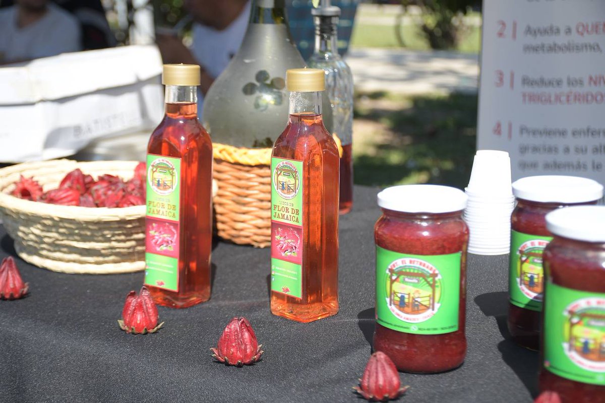 Más de 130 feriantes de Corrientes y Chaco participan de una nueva edición de #FeriasConectadas 🤝 En Paseo Arazaty ofrecen sus productos textiles, artesanales, gastronómicos y más 🤩 Estamos hoy hasta las 22 y mañana desde las 8 en nuestra #CiudadDeOportunidades ✨