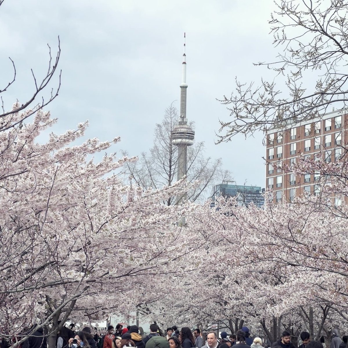I got tenure! Now I get to tell people what I *really* think
