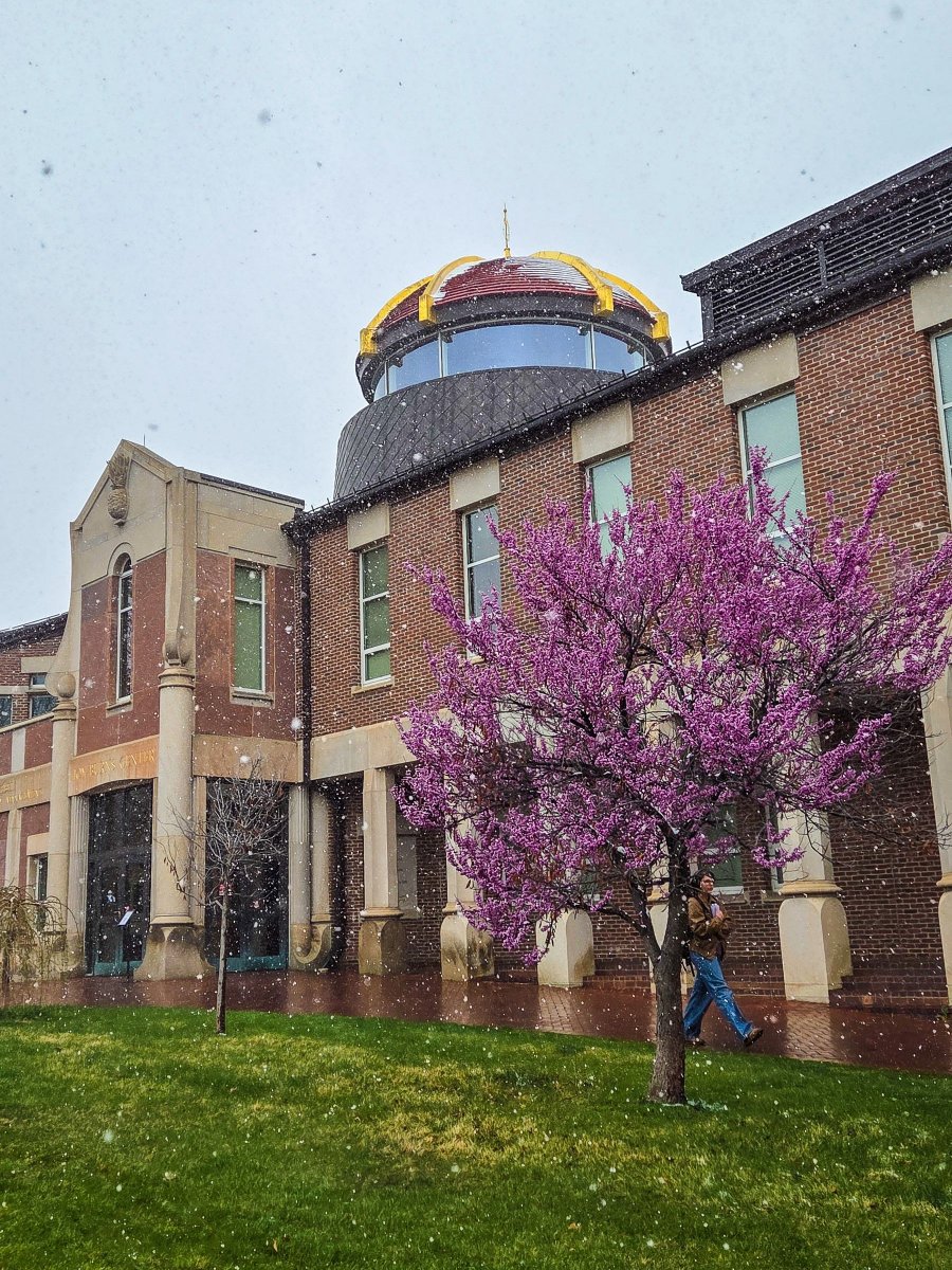 Spring and snow at the @uofdenver . 🌸❄