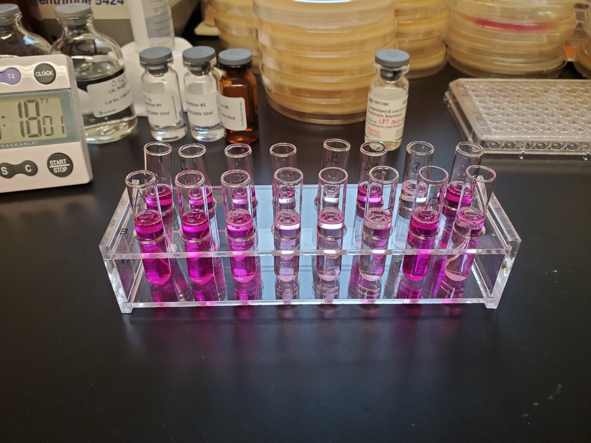 Science, but make it pretty.