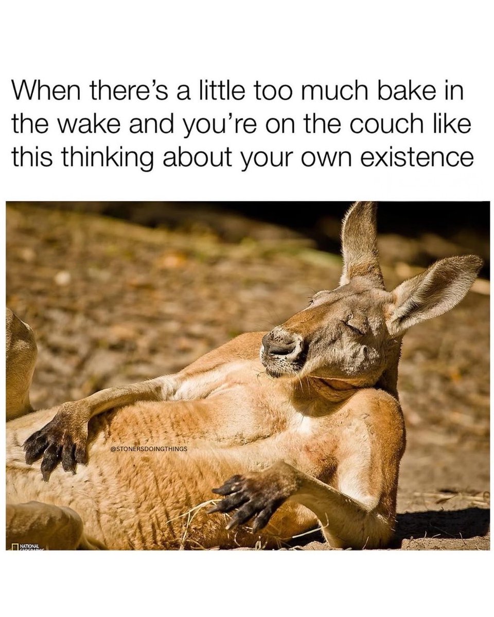 We're giving out insane 4/20 deals

Check them out now: snowtreeworldwide.com