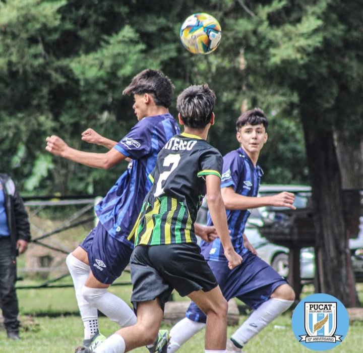 PUCAT15's tweet photo. #InferioresLTF ⚽✨/#AtleticoAzul #10

#Resultados vs  #AteneoAlderetes

Gano 3 a 1 de local

⚽Bazán

⚽Luna Ontivero

⚽Ortiz

📸@matorti_85 &amp; @santuchocesar

#ArribaLosCorazones 🩵 https://t.co/EbG0bdkCmq