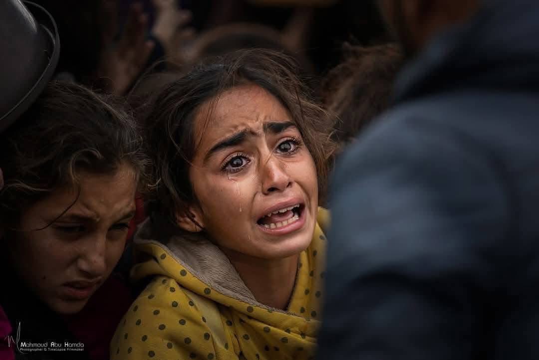 This is what the queue for lentils looks like in Gaza. Have you ever seen greater suffering? Hunger ravages children's stomachs, and people fall to their deaths in the streets from starvation.