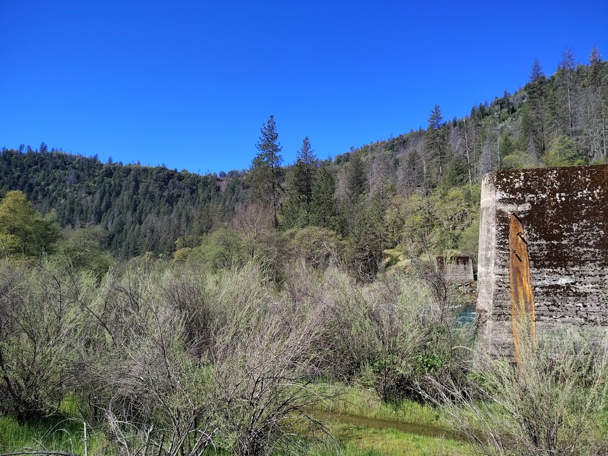 _AlleyAwesome's tweet photo. From river to mountain view kinda day #steelbridge #douglascity #trinitytime https://t.co/fOZCqQL3Fa