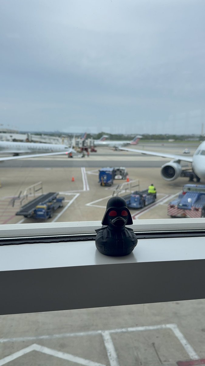 Where the Duck are you!?