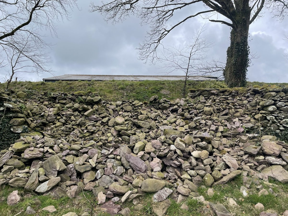 richardcotter99's tweet photo. Before, during, after

#drystonewalling https://t.co/L7zAtvoucE