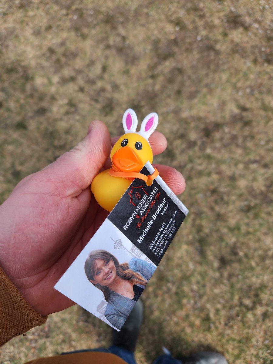 stevebomb1's tweet photo. Duck hunt @robynmoser&amp;associates https://t.co/9mYCL6RmWw