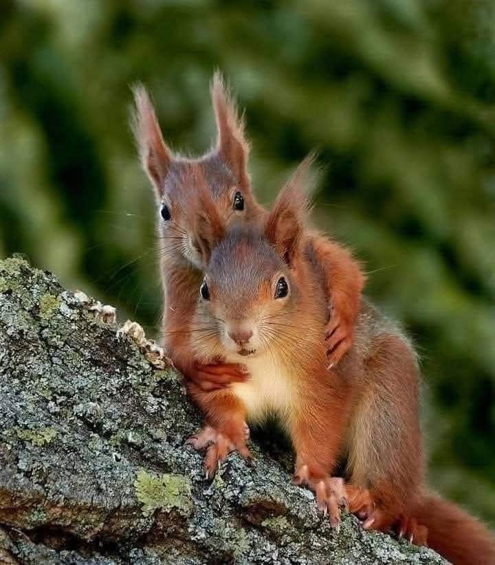 A great photography 🥰