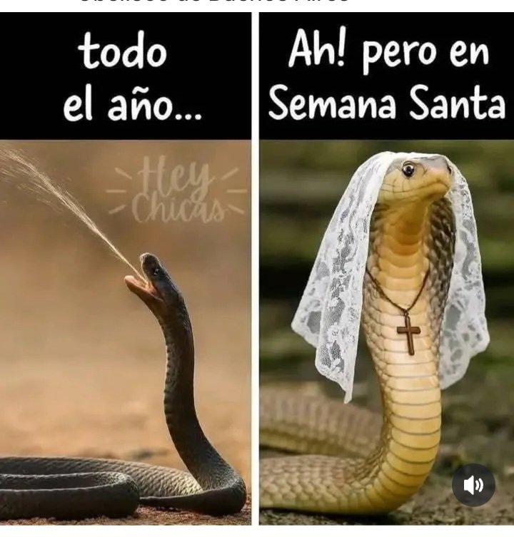 ARROBEN A ESE VÍBORA  QUE TODOS TENEMOS DE CONOCIDA...