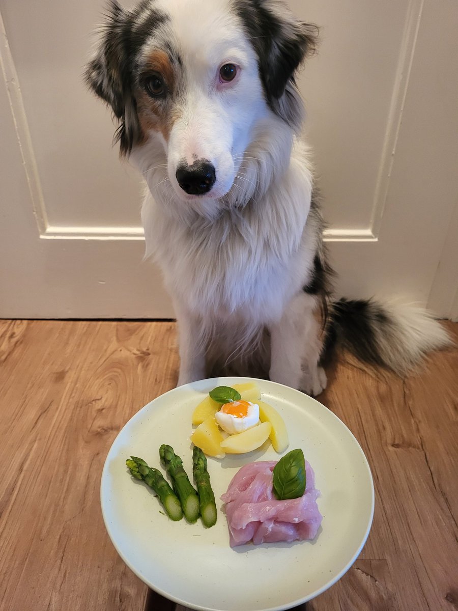 GlitzerflauschV's tweet photo. #Wochenendei #Samstagsei
Ei, Kartoffeln, Pute und mein allererster Spargel 🤩. Aber war ja klar, grün 🙄, war trotzdem lecker 🤭
@mav_cologne
@MilchSchnitte2
@Jule20131 @SiriwhoSiriwho1 @vonundzu_Stine https://t.co/tik5LJlUSv