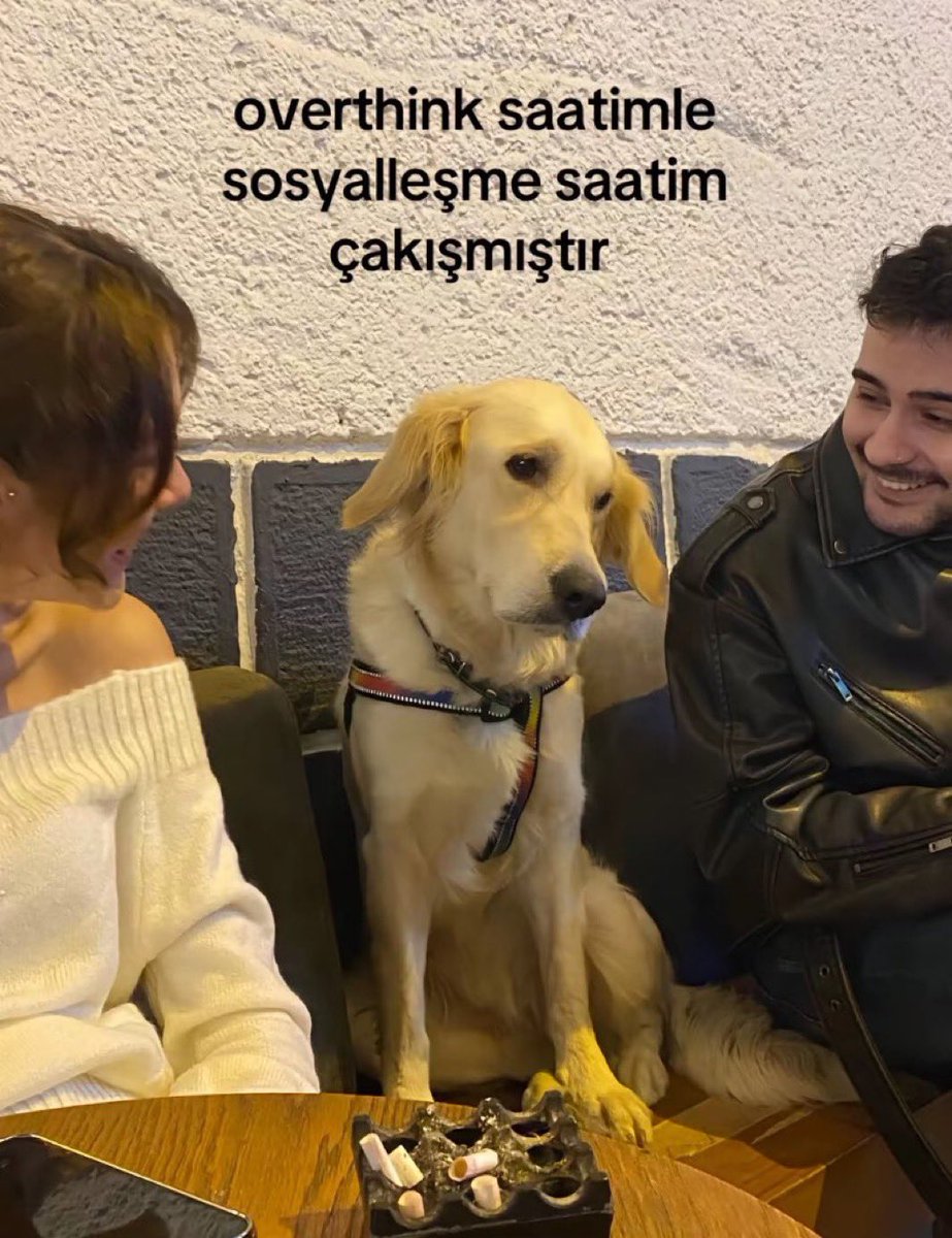 Loki (@deplask0) on Twitter photo 