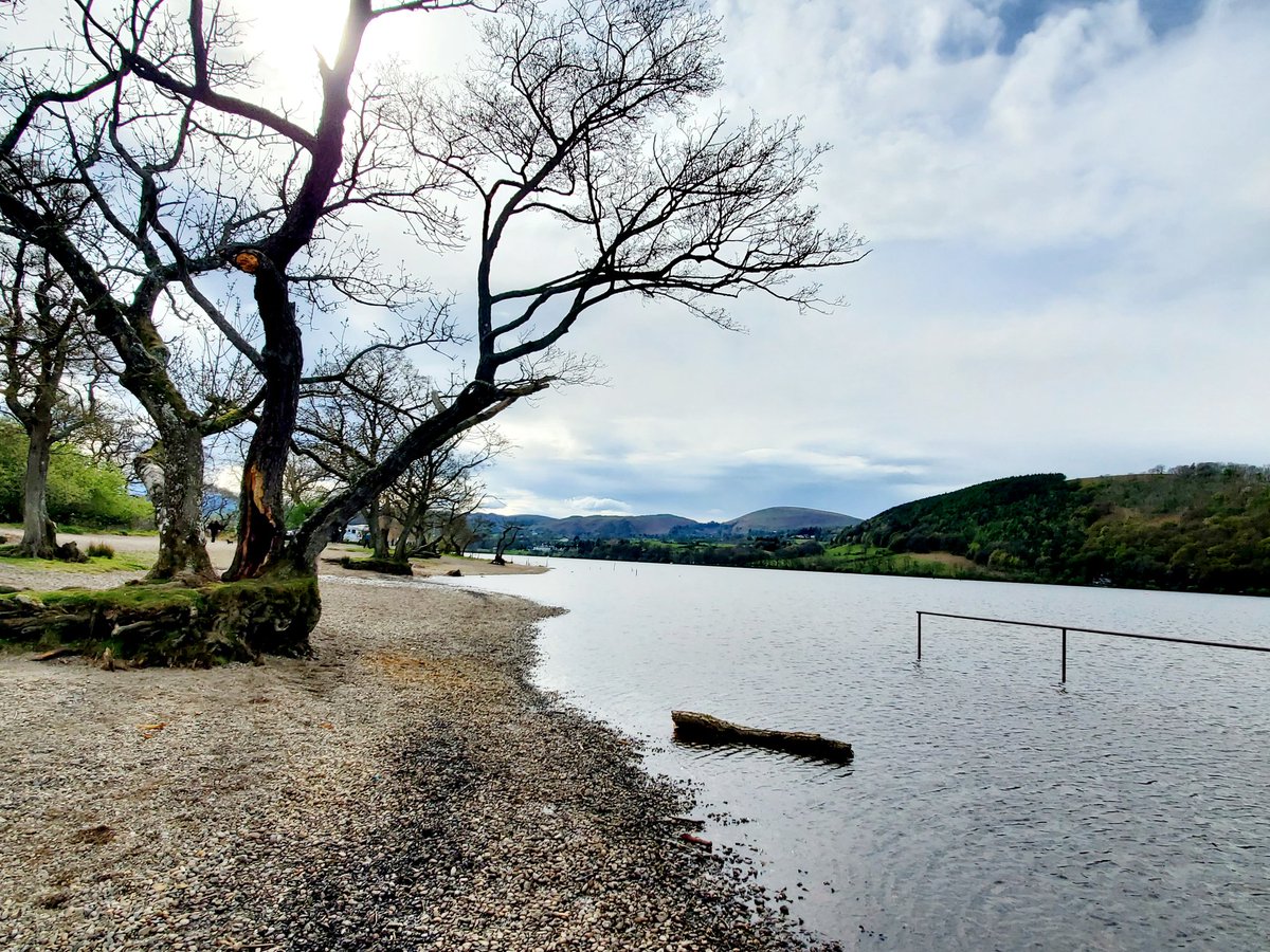 blonde_on_bikes's tweet photo. North Lakes -9mile hike-Pooley Bridge /Howtown circular. Fantastic route with lovely views over Ullswater 😀
#Northlakes #pooleybridge #ArthursPike #ullswaterway #howtown https://t.co/kAgRyhCWFE