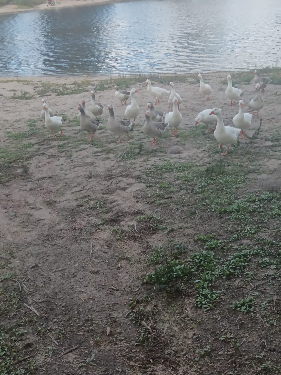 Hoy recorrimos en bici los lagos de Ciudad de la Costa con el Pelado Peña, nuestro candidato a alcalde, quien reafirmó su compromiso con el cuidado de estos espacios naturales fundamentales para el disfrute y la calidad de vida de la comunidad

#Lista1994A 
#PELADOPEÑAALCALDE
