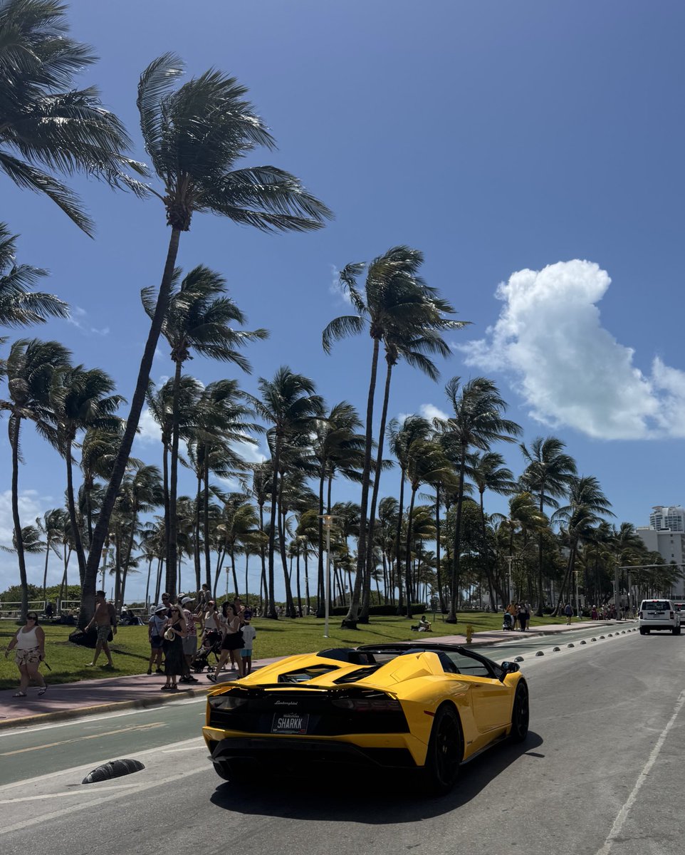 PHP driving a yellow lambo at Miami Beach