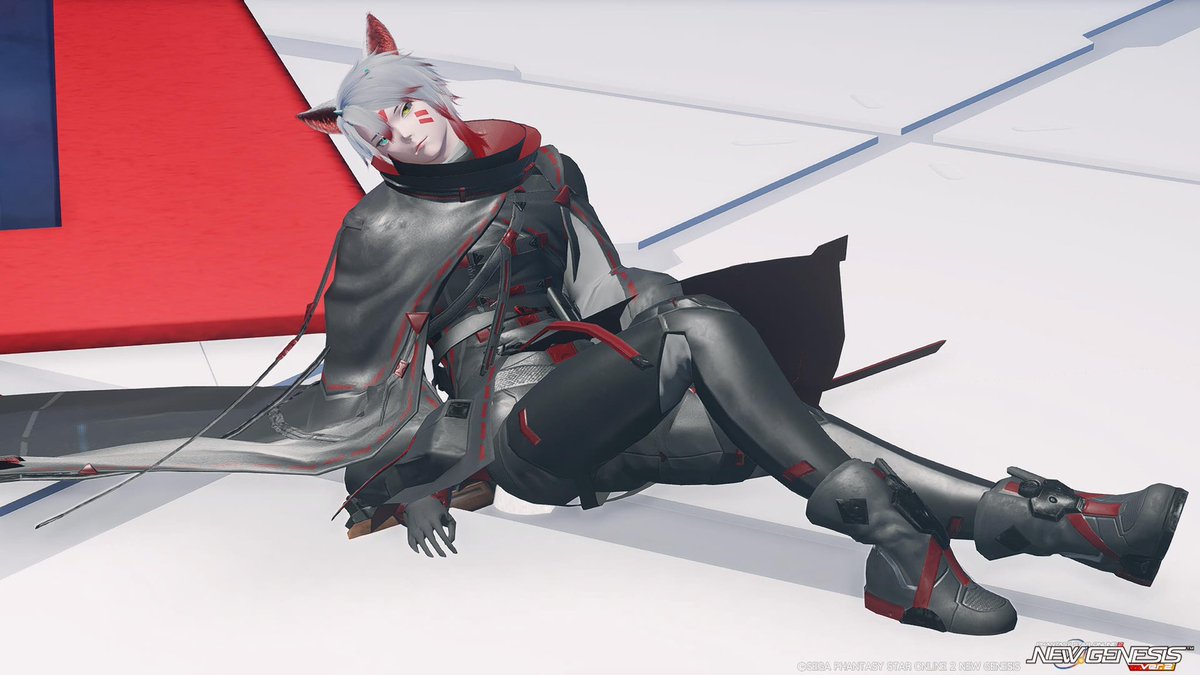 最近のうちの子
  #PSO2NGS_SS