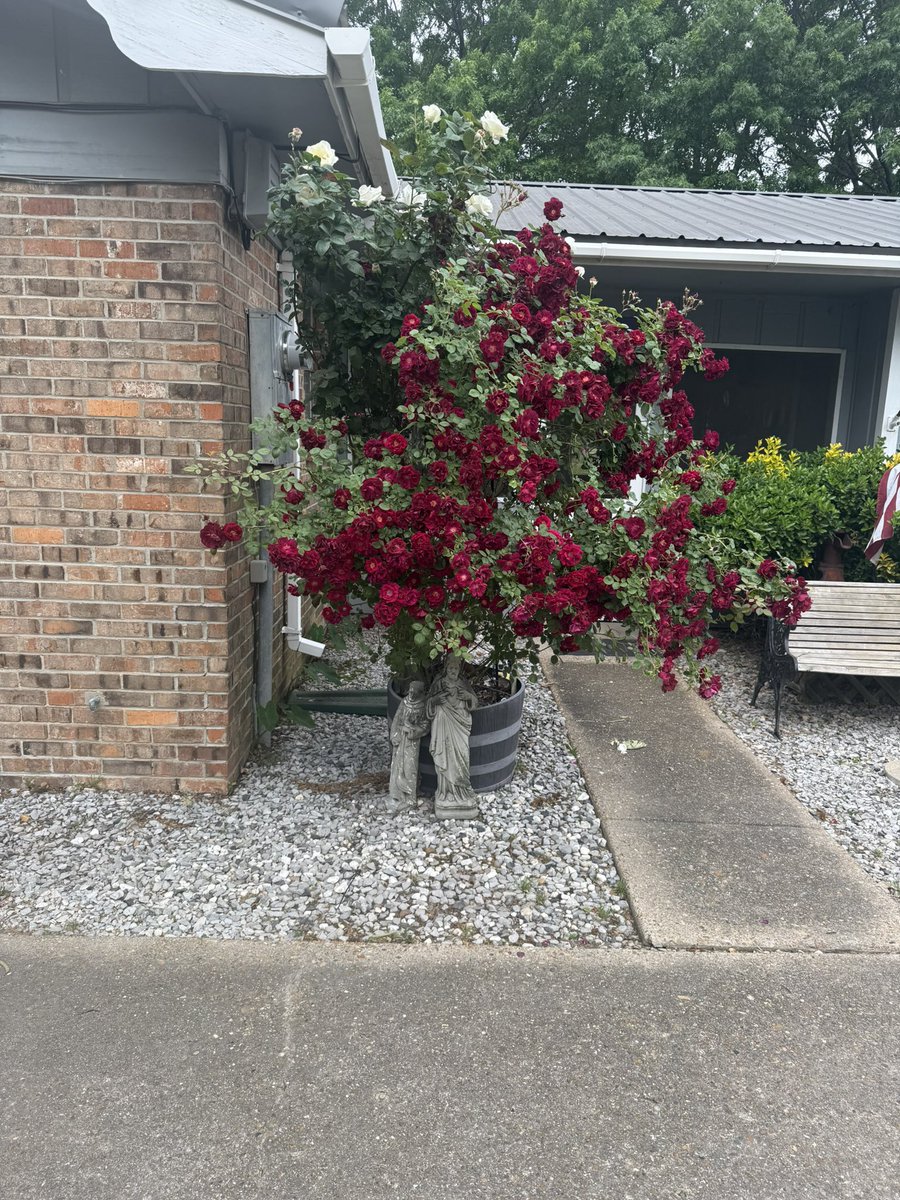 Rustyg62's tweet image. God is so Good