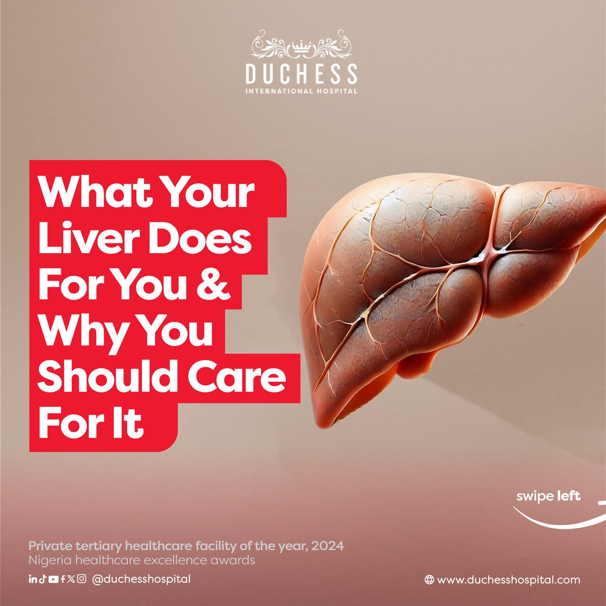 DuchessHospital's tweet photo. Your liver does more than you thinkÂ
From detoxing your blood to storing energy.
It deserves better than neglect.âšHereâs why liver health matters and how you can protect it.Â
âš#WorldLiverDayÂ
#LiverHealthÂ
#DuchessHospitalÂ
#Duchessaffordablehealthcare https://t.co/G0PhIDzHRN