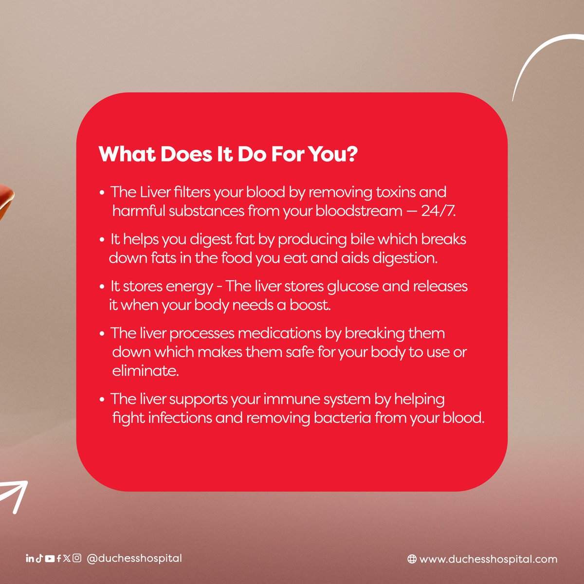 DuchessHospital's tweet photo. Your liver does more than you thinkÂ
From detoxing your blood to storing energy.
It deserves better than neglect.âšHereâs why liver health matters and how you can protect it.Â
âš#WorldLiverDayÂ
#LiverHealthÂ
#DuchessHospitalÂ
#Duchessaffordablehealthcare https://t.co/G0PhIDzHRN