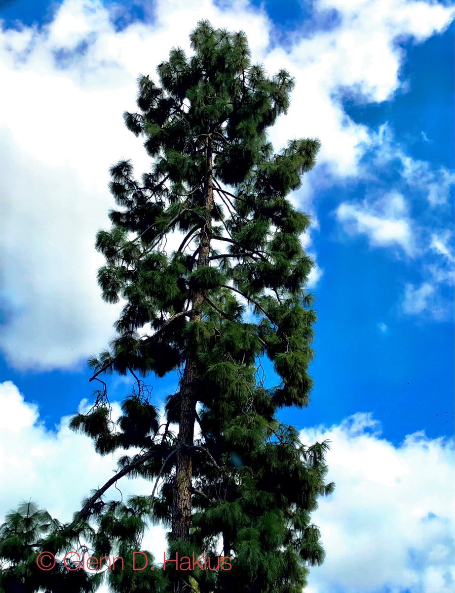 GHakius's tweet photo. @DMiller52325459 Southern California… https://t.co/UnPzmHh1E0