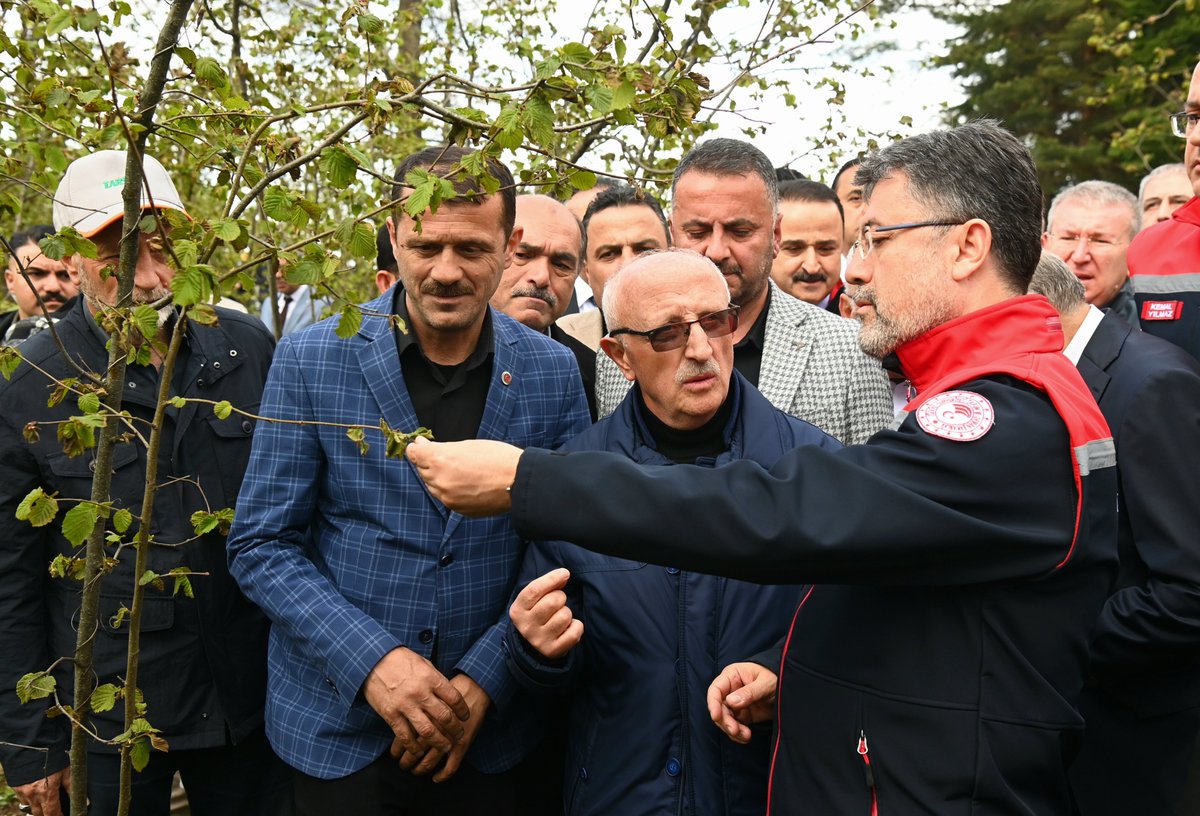 ibrahimyumakli's tweet photo. 👨‍🌾 Bahçe yalnızca ürün vermez, umudu da yeşertir. Bizim işimiz de bu umudu yaşatmak.

📍 Ordu’da, zirai don nedeniyle fındık bahçesi zarar gören Kadir amcamızı ziyaret ederek geçmiş olsun dileklerimizi ilettik.

🌿 Üreticimizin sigortası olmasa da, eğer Çiftçi Kayıt Sistemi’ne kayıtlıysa Bakanlık olarak onu yalnız bırakmıyor; yaptığı harcamaları hasar oranında karşılayarak emeğine sahip çıkıyoruz.

🌾 Tarımda sürdürülebilirlik, sadece masa başında değil, tarlada üreticimizle omuz omuza olmaktan geçiyor. Biz de her daim çiftçimizin yanındayız.